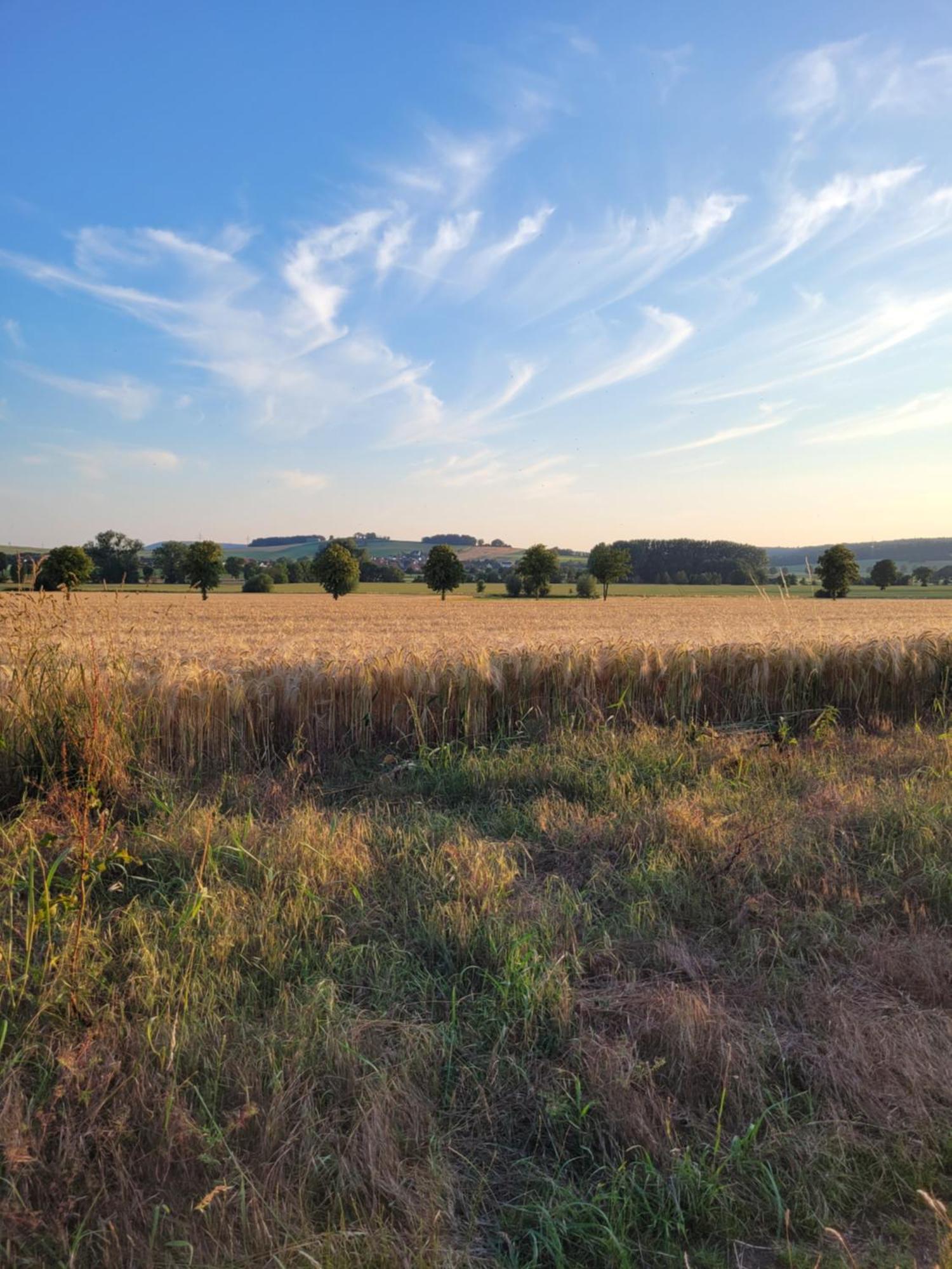 HAuszeit Bad Nenndorf Villa Exteriör bild